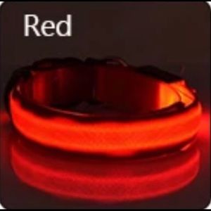 The Taking Caution Collar- Red